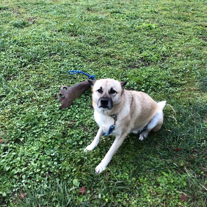 7f452220 f0ff 45a2 b4d6 cdedf799c58b 1575541853065