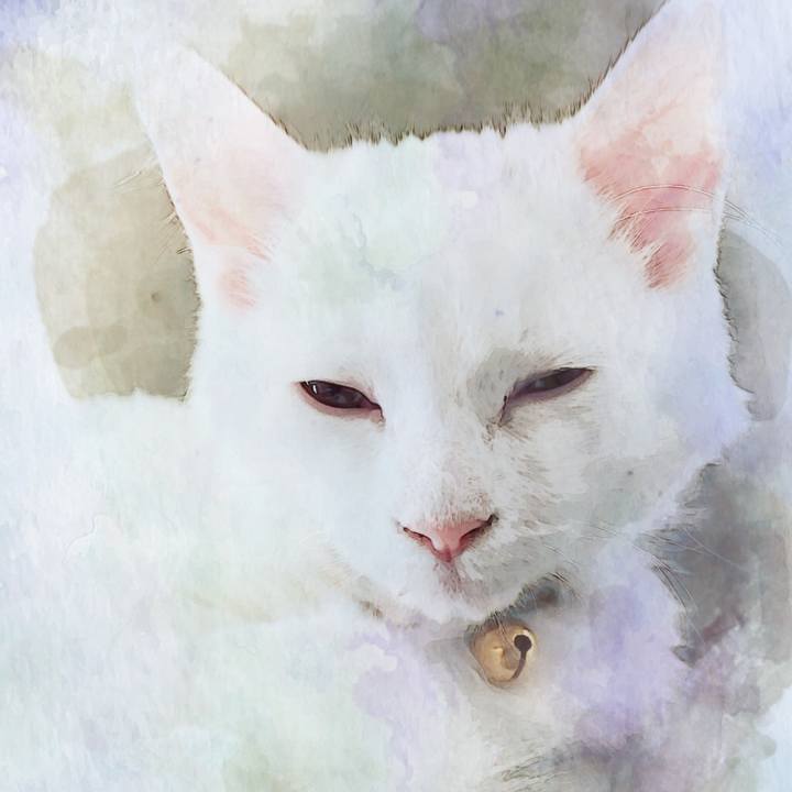 7f456227 4a00 40db 99fd 95846bdd2fea 1509796463084