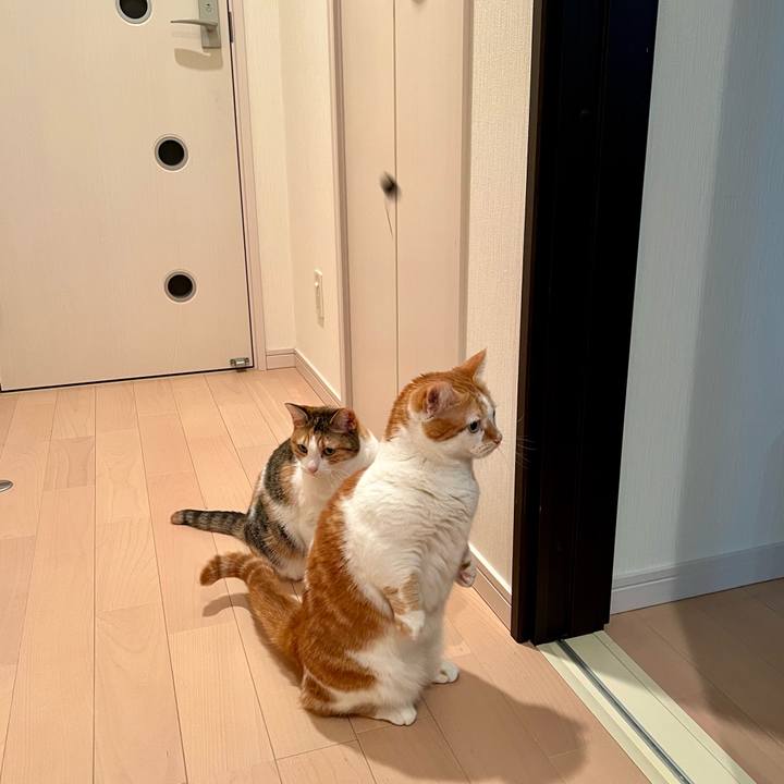 7f456346 f201 40c7 98ac 5ce317d31fac 1766838898151