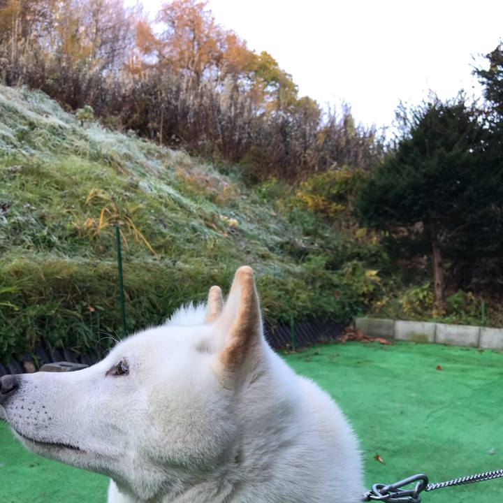 7f4575f8 1f1e 4cf0 af14 b6f7304e954a 1541670584771