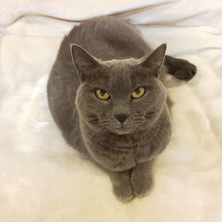 7f45819d e64e 4b07 ab7e dc40116cfafb 1763988823785