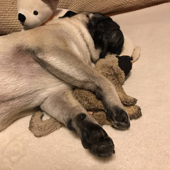 7f4631cd 8792 4999 a81c 51cdf9031049 1527512661292