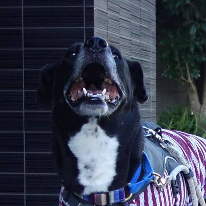 7f46323f 3def 4c95 9540 d619621f6d16 1659398918421