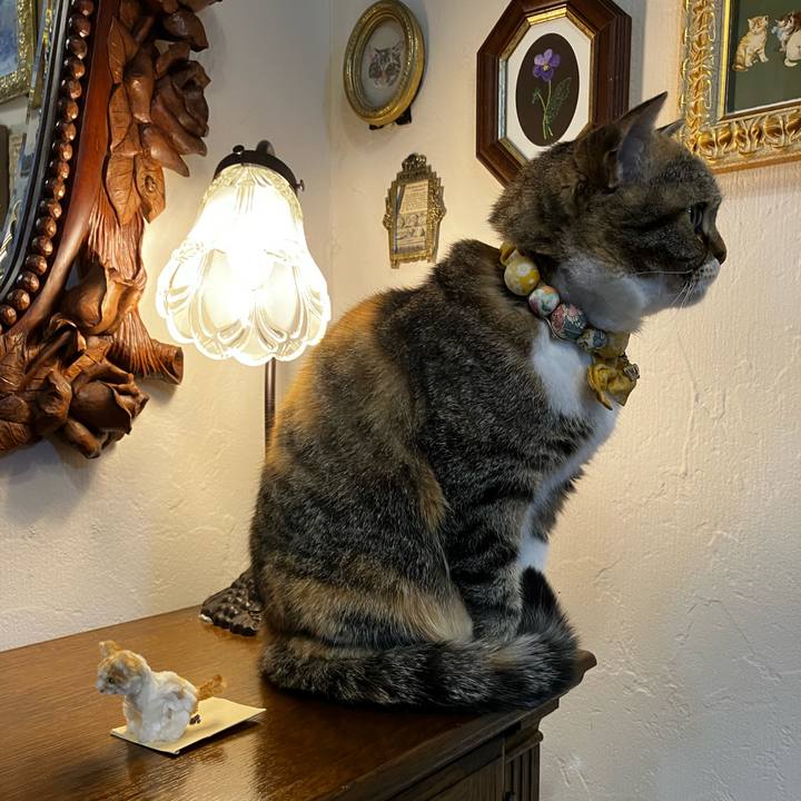 7f463fd8 7a31 484c 9ab0 e726fe66983a 1774950606008