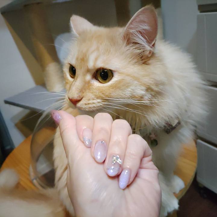 7f46412f a2d3 4ea4 8490 9ae45dd73503 1722519588348