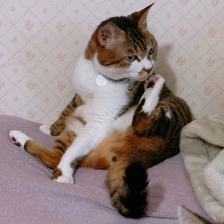 7f464537 8301 4f2d 9daf 9e8a854cb0d4 1647126075678