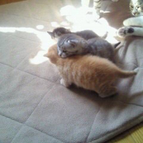 7f464b36 2e9c 4f00 9b9e dfce0debe13b 1547134850468