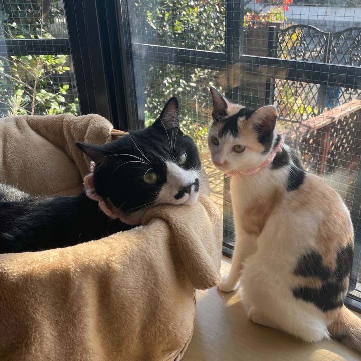 7f467d67 785a 4f0b 929f aac6053b6477 1667435218725