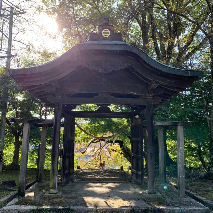 7f4682a2 2139 41c5 9630 edb6269cff9b 1602414267736