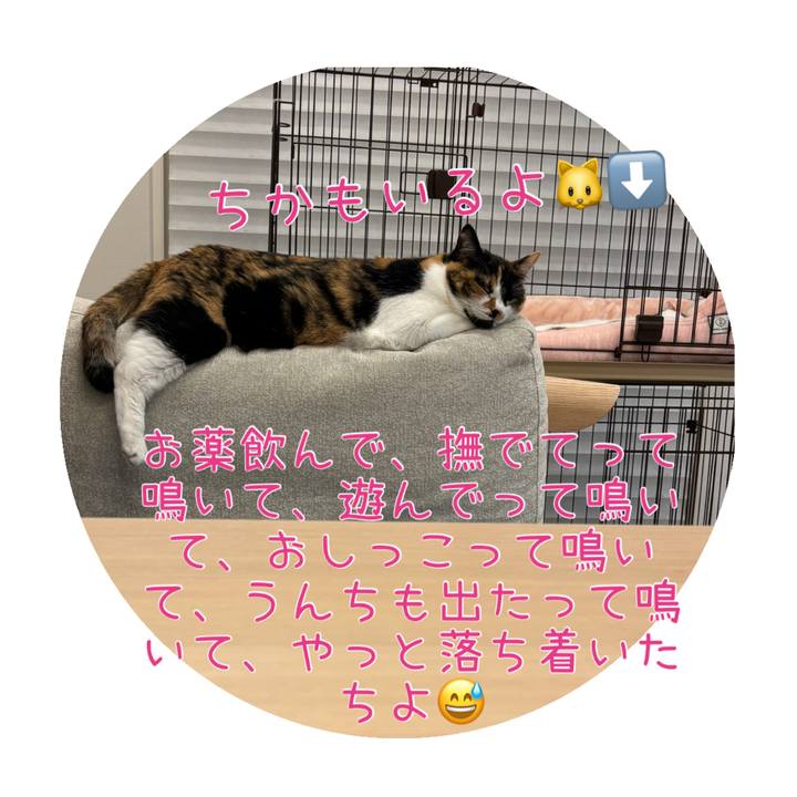 7f46a4ed 4856 42a3 a905 31876f2e5941 1782306380528