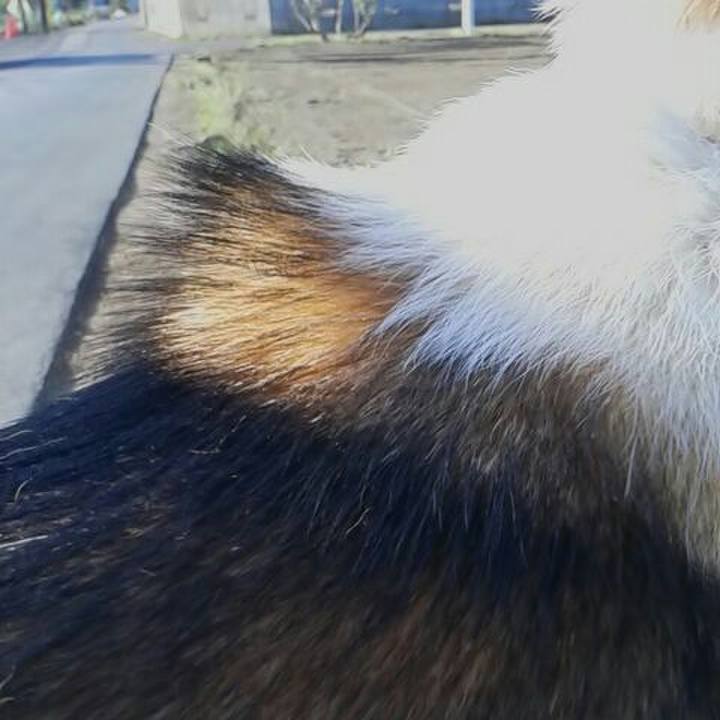 7f46aba8 7f01 4f15 a755 61ae24dcc765 1523333195263