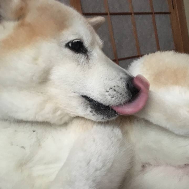 7f46b532 34a8 428e a022 59bb72ce4bf2 1524527749993