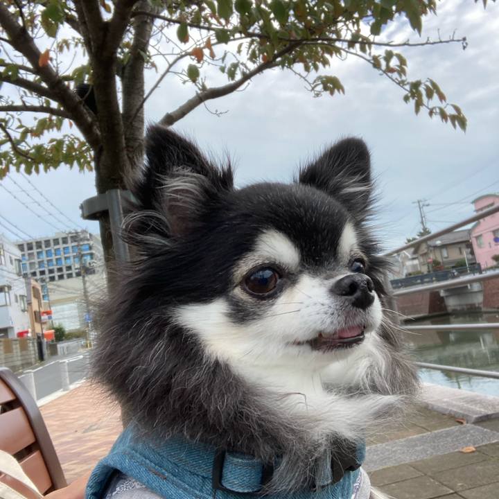 7f46b5a7 0ff2 4e6d af51 bf36b8bf1951 1761982815470