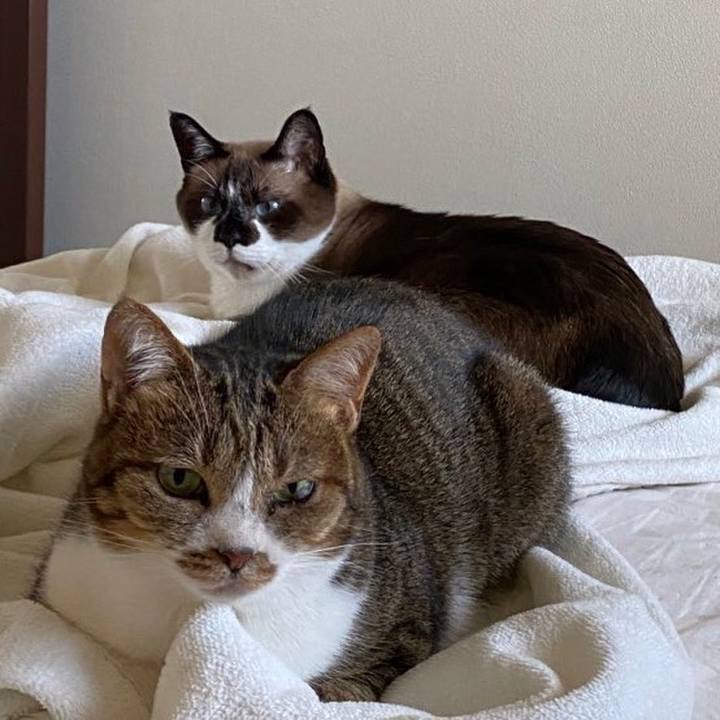 7f46cc4e 5a21 4866 b628 3d3614956089 1637605462128