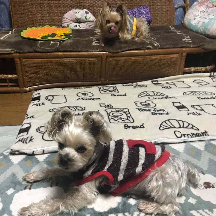 7f46dd62 2ab8 41df bd84 3353bfc57687 1577351563720