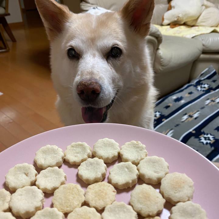 7f4711eb a9c2 4467 abd7 121bc97dcf05 1605697619091