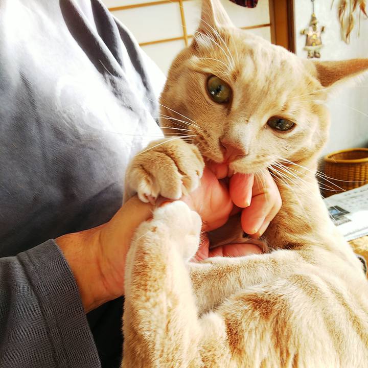 7f475831 8524 44cc a645 ad66e56e2b57 1573343315710