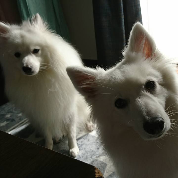 7f476f7c 8ae9 431f b6ef 6b7801a7b13d 1573182671086