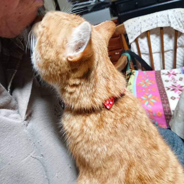 7f47b957 ac0c 41ef 8f7f b3afff276c55 1577741647937