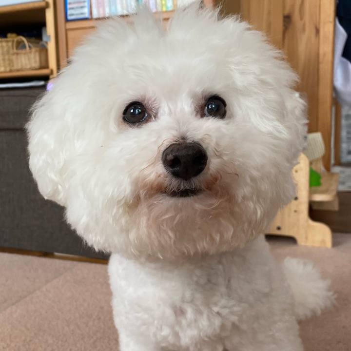 7f47e605 9d62 4c8e 9b0a 4b1708fed3f2 1663211838813