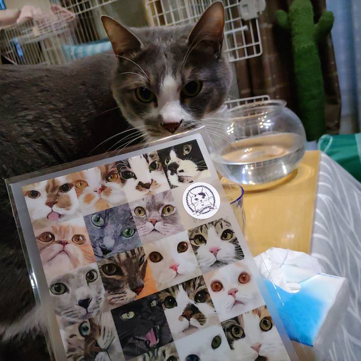 7f47ee75 b1b6 46f7 aea1 a386a24d89d4 1708765973333