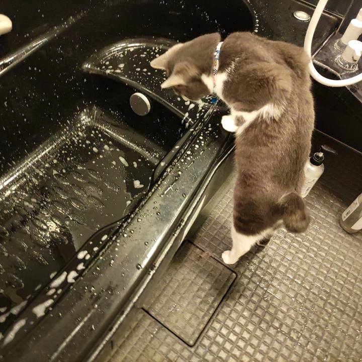 7f48141d f5f7 4d07 a603 e03de4b87abe 1674310309945