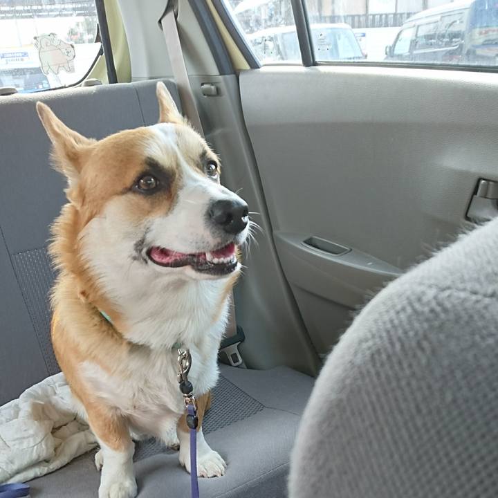 7f481752 bcfc 41c2 b63e c18504e140b9 1586931608604