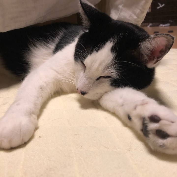 7f4863d3 fc10 4a99 b84b ea315fca2a0f 1581631227404