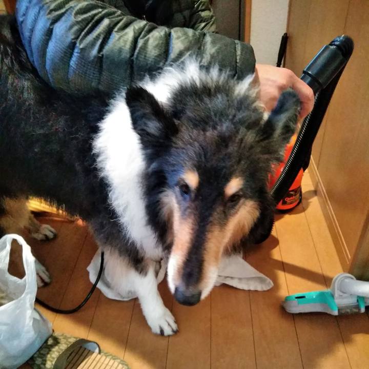 7f4896e4 798d 4548 9137 d46d7060c8bc 1517147961344