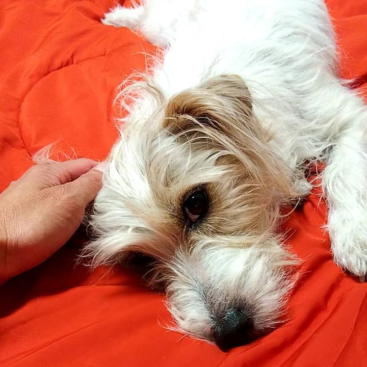 7f48c2a9 bb91 4479 a457 b20982c72b9c 1558182421057