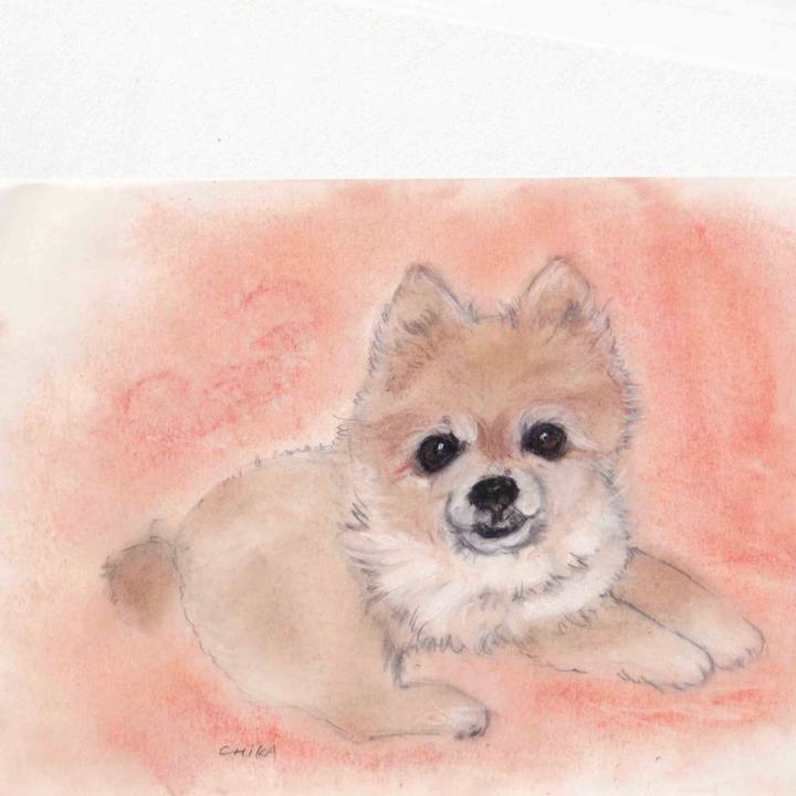 7f48f607 b945 4230 92dc 068422dc2524 1614781522536