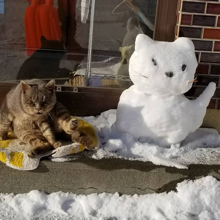 7f496fa4 ab1e 49aa bbea f7937d46eae6 1515654582293