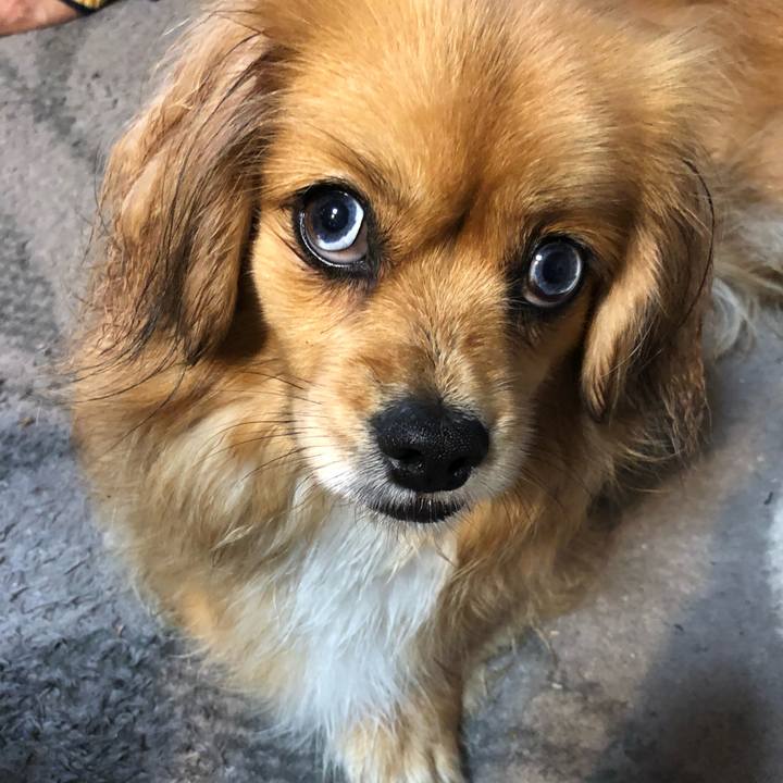 7f49b706 42fb 49ba bef9 035e31d19948 1559704124236