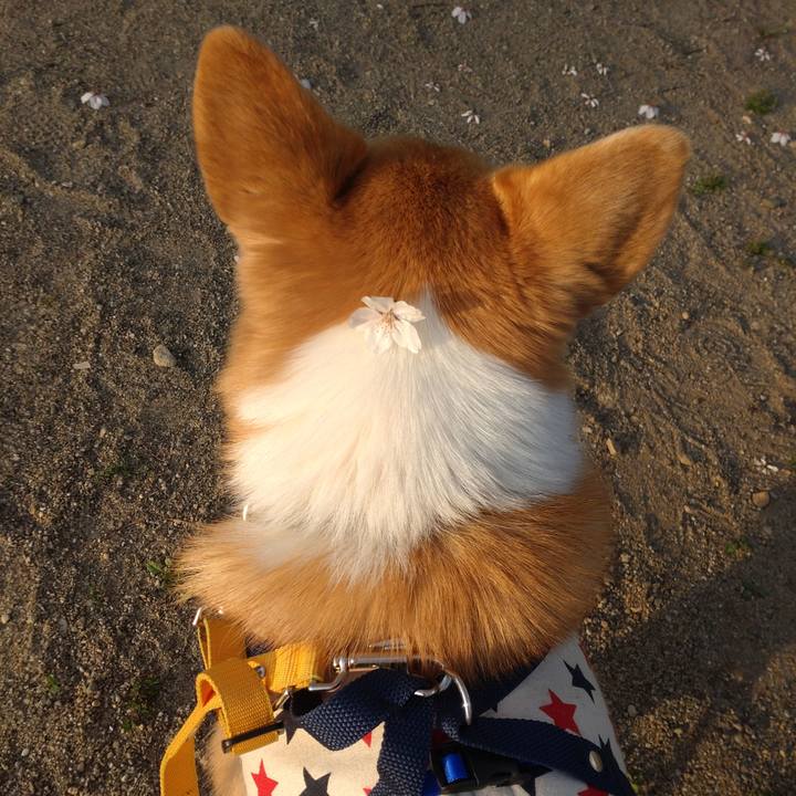 7f49c32e 5fd7 4918 ac84 690612c5eb2b 1649773199448