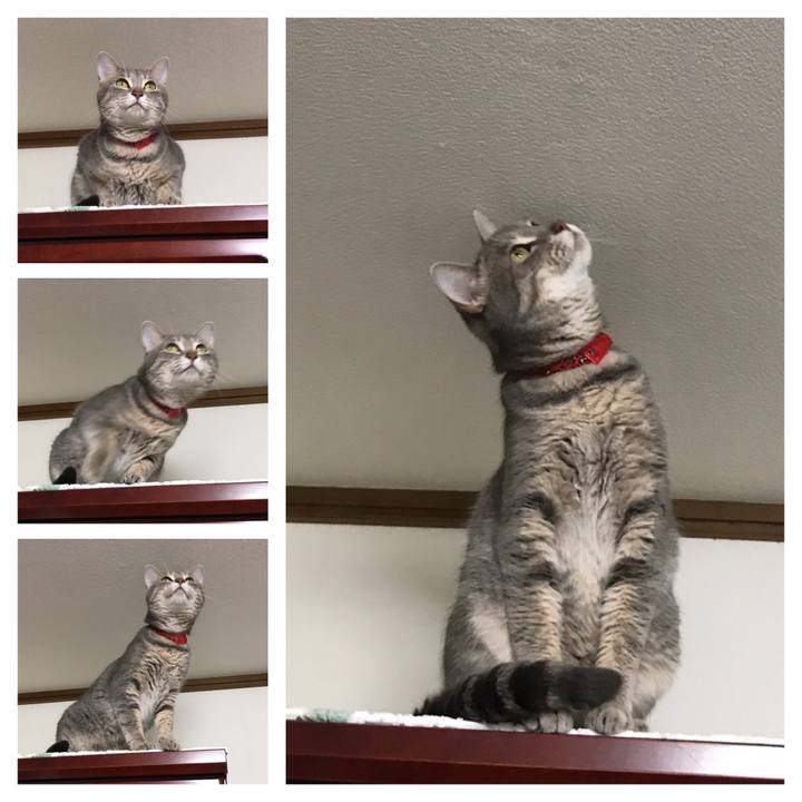 7f49fb3b 5317 42b3 ba70 350b236c2ffb 1564356118247