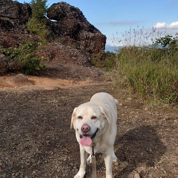 7f4a34bf 20ff 4c73 803f 0e66ad90bf42 1758815317162