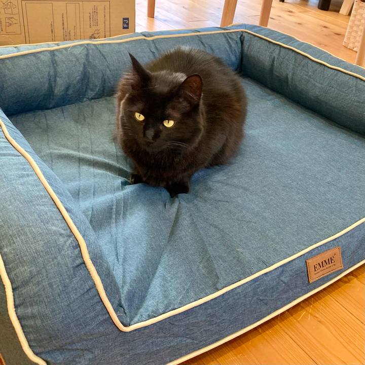 7f4a49b0 c584 4e8b 9162 3f7c9723b2a6 1736150196913