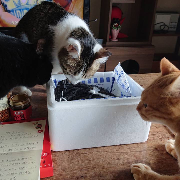 7f4a97bd ea22 45f6 8b3f 315aca7d0668 1648961502635