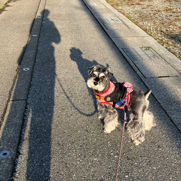 7f4ae04a 8f6f 4616 a284 1c0a27b9ac4e 1730598528713