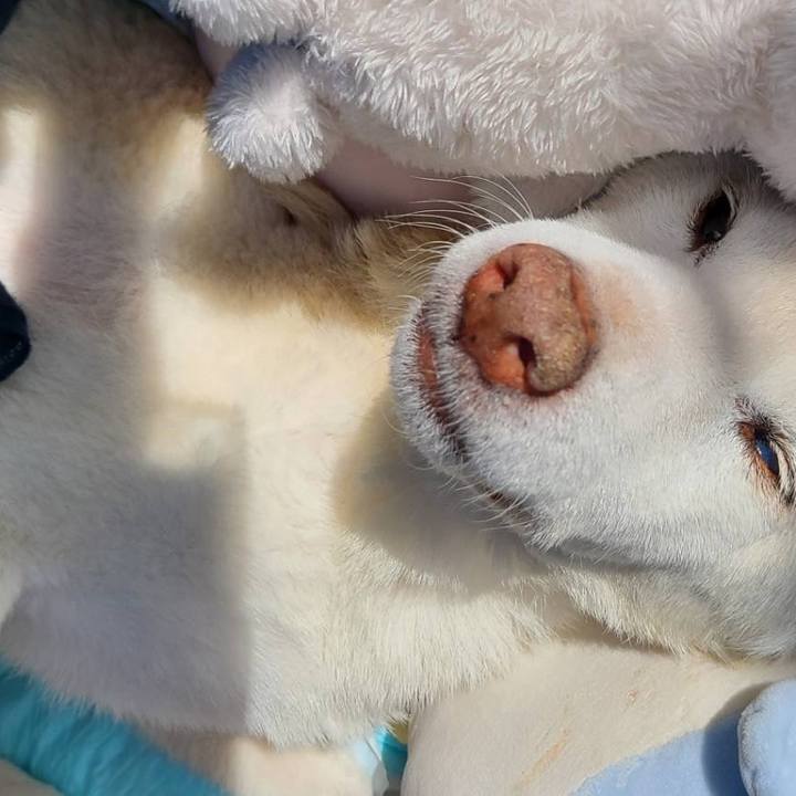 7f4b0f65 c317 4017 9d2e 16f6114a546e 1721310120844