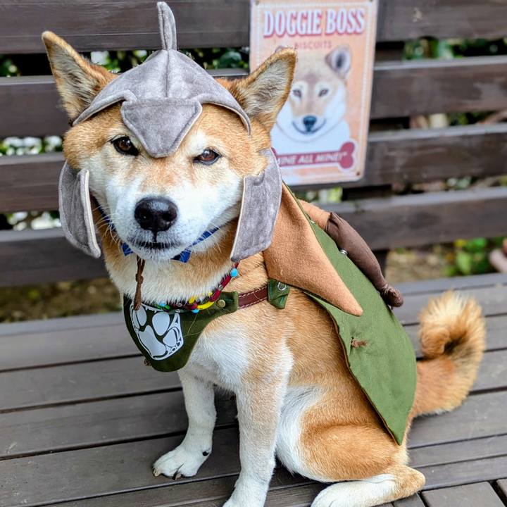 7f4b19d8 7f89 4849 9cf3 2b56cb8085c6 1763894436855