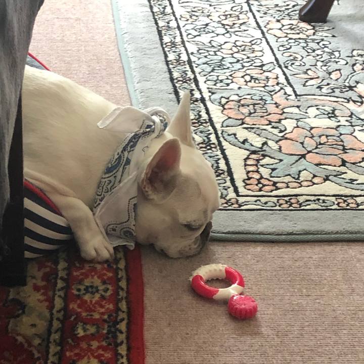 7f4b22f9 c9c7 456c 9963 fa5805a7354e 1597098496950