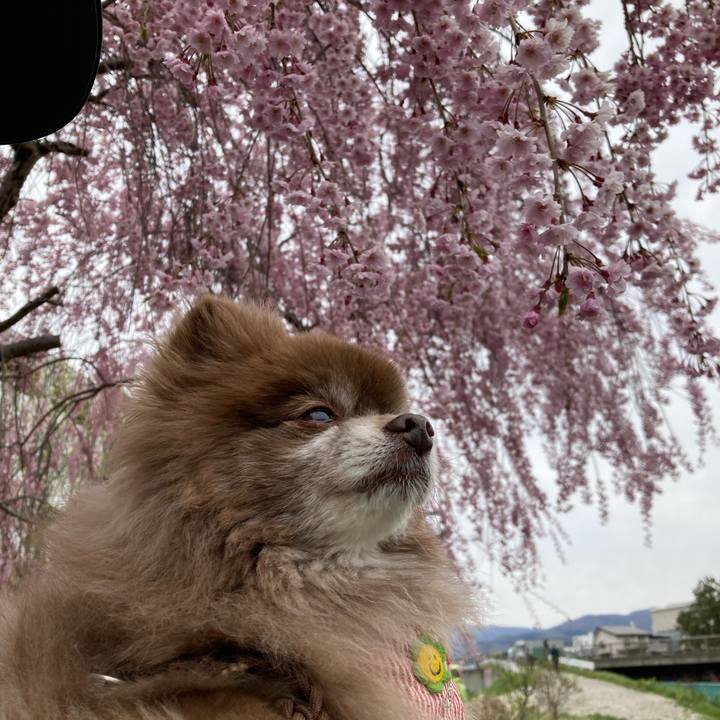 7f4b54b1 3d0b 4425 9ae9 d6076636e43e 1651200546410