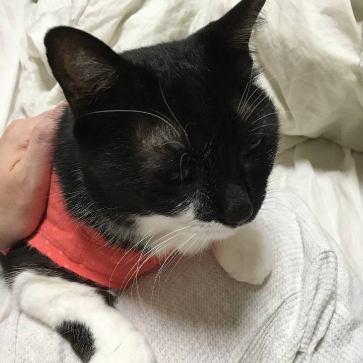 7f4b8825 498f 4baa a6d9 d47b89180058 1597949113145