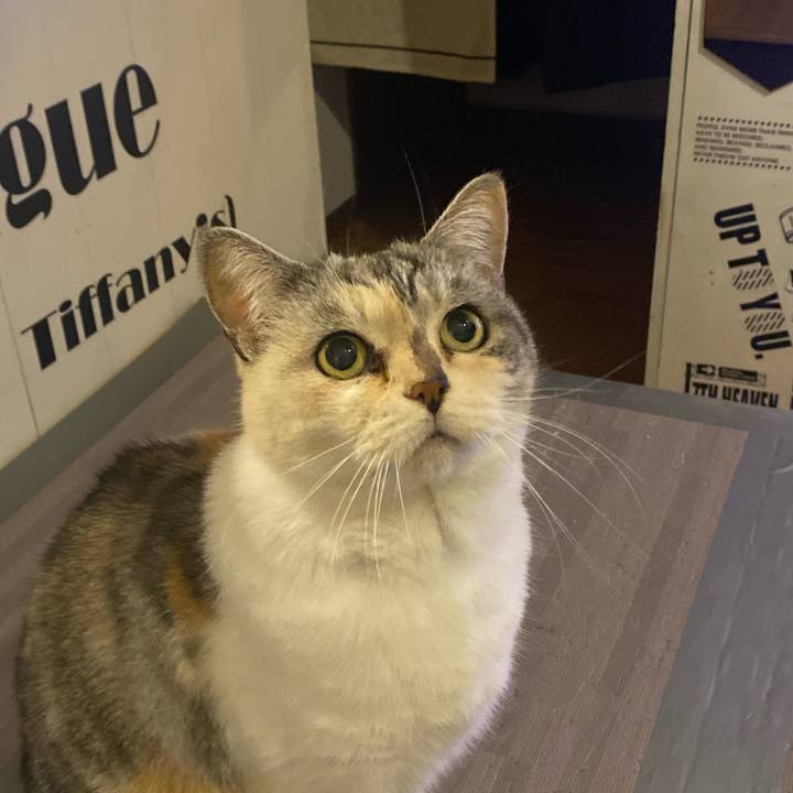 7f4b94b4 b95a 4160 a9c7 6b5d476abb89 1669562400383