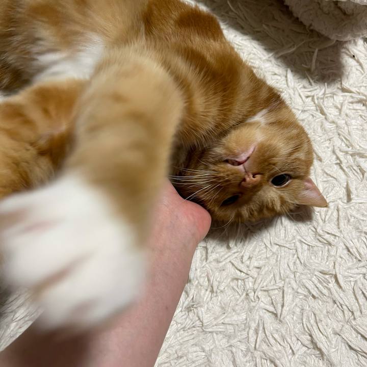 7f4bce8c 6e4a 4d74 b9d9 55a649b76d8e 1622818893068