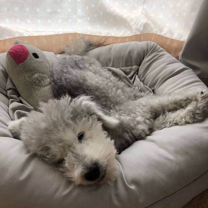 7f4bfb47 fe35 4f77 8967 a0b178dd3035 1626004692556