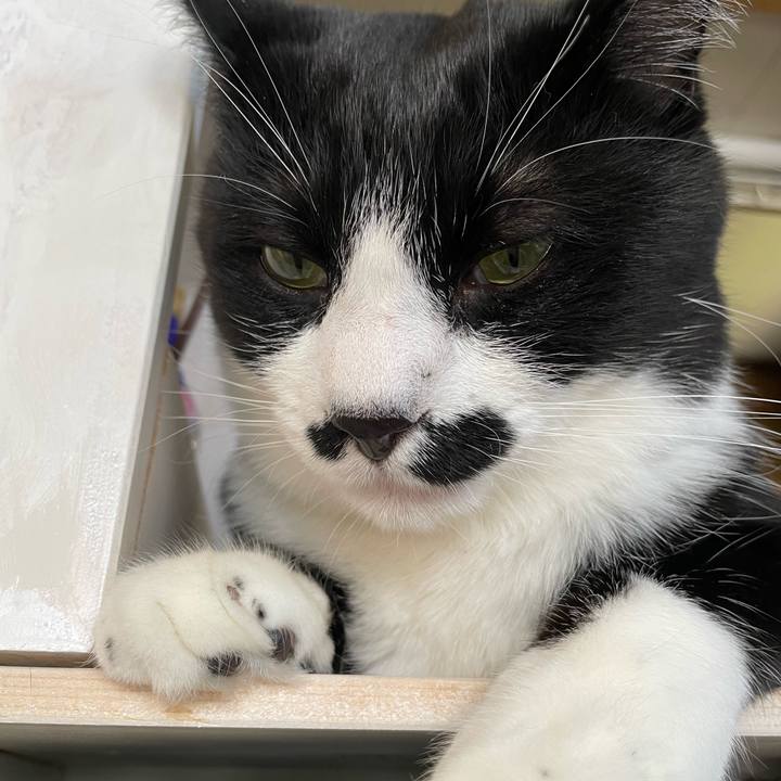 7f4c016e c3e5 4cbe a44d d1387b339f66 1659405493918