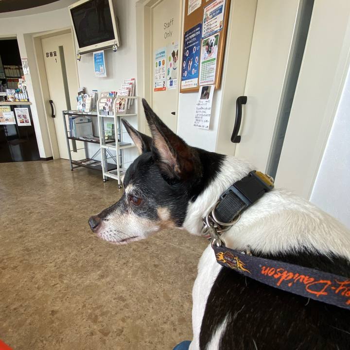 7f4c0270 9144 4cd6 a51a 20d29ded9f89 1596846920214