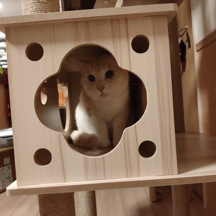 7f4c090c b2fe 464a b316 ffc09dbef6fd 1656076889521